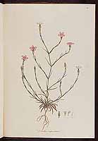  no thumbnail available