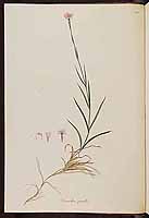  no thumbnail available