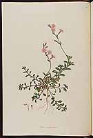  no thumbnail available