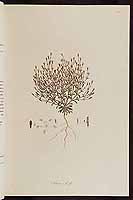  no thumbnail available