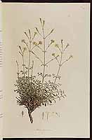  no thumbnail available