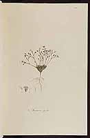  no thumbnail available