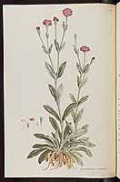  no thumbnail available