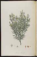  no thumbnail available