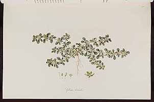  no thumbnail available