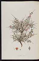  no thumbnail available