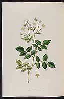  no thumbnail available