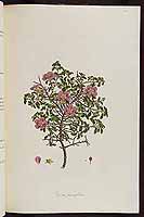  no thumbnail available