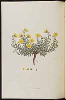  no thumbnail available