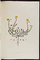  no thumbnail available