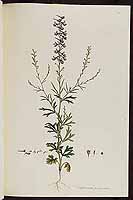  no thumbnail available