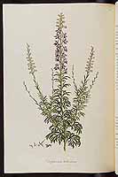  no thumbnail available