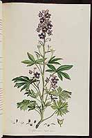  no thumbnail available