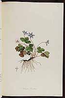  no thumbnail available