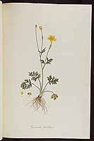  no thumbnail available