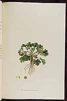  no thumbnail available