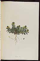  no thumbnail available