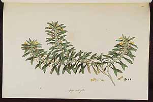  no thumbnail available