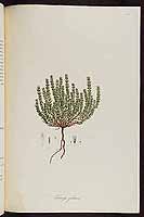  no thumbnail available