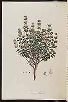  no thumbnail available