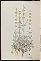  no thumbnail available