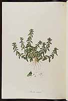  no thumbnail available