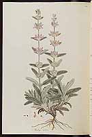  no thumbnail available