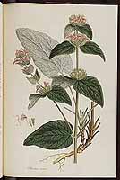  no thumbnail available