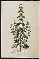  no thumbnail available