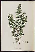  no thumbnail available