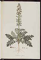  no thumbnail available