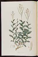  no thumbnail available