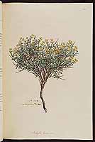  no thumbnail available