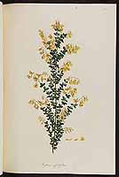  no thumbnail available