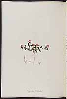  no thumbnail available