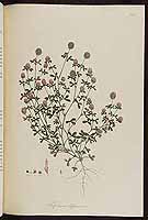  no thumbnail available