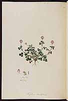  no thumbnail available