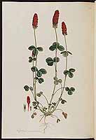  no thumbnail available