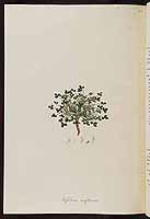  no thumbnail available