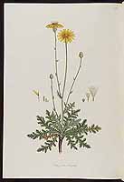  no thumbnail available