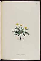  no thumbnail available