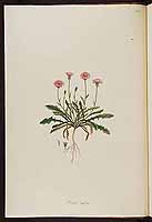  no thumbnail available