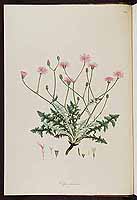  no thumbnail available