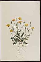  no thumbnail available