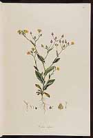  no thumbnail available