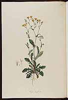  no thumbnail available