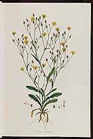  no thumbnail available