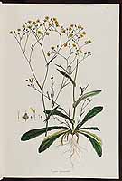  no thumbnail available