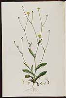  no thumbnail available