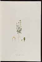  no thumbnail available